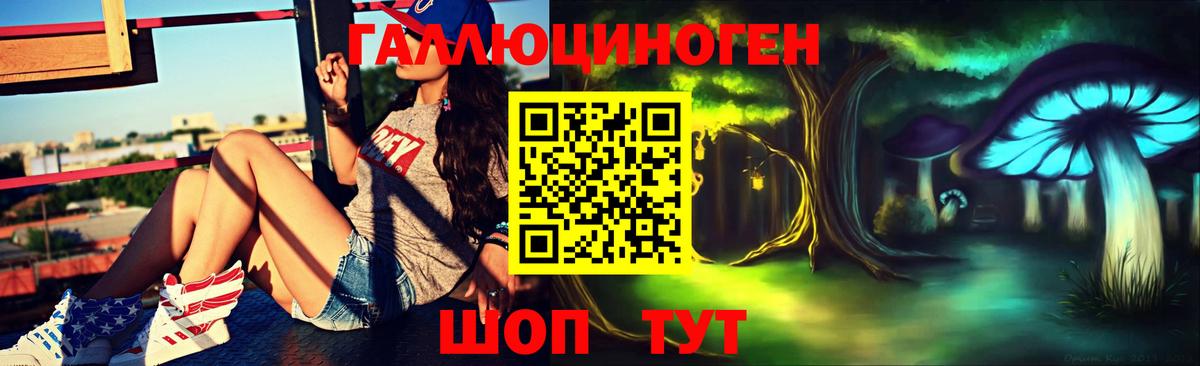 купить закладку  Вход с VPN  Курган  Псилоцибиновые грибы Psilocybe 